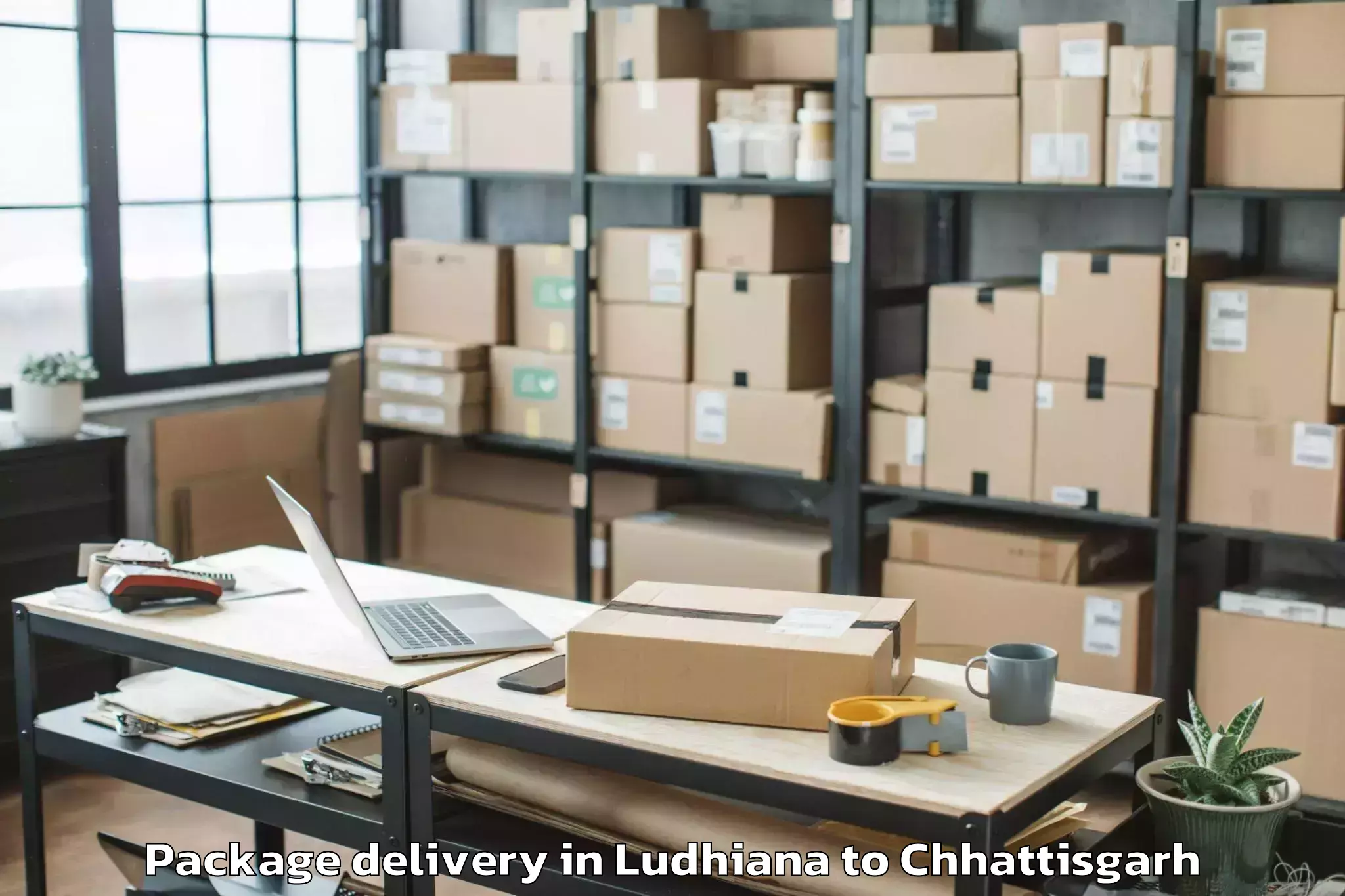 Discover Ludhiana to Shaheed Mahendra Karma Vishwav Package Delivery